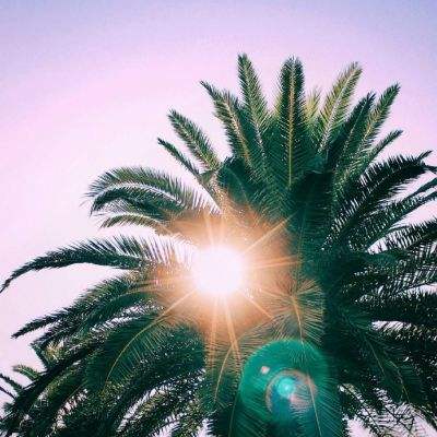 6686体育官网下载截图