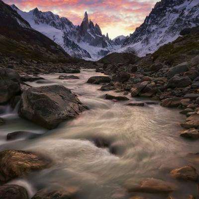 42982金牛网论坛